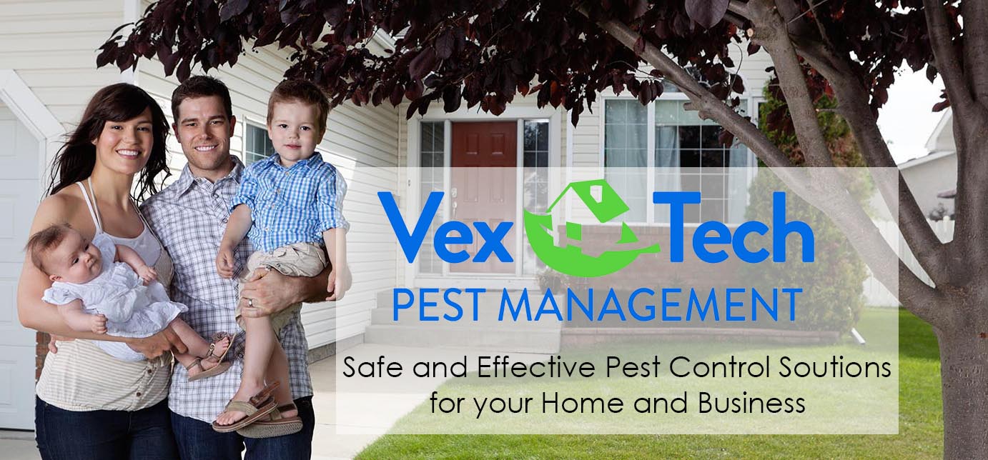 VexTech Pest Management - Contact us for a free pest control Quote ...
